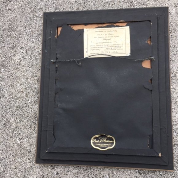 1840 Antique Botanical Yellow Print Framed by Jane Loudon Hand Colored Victorian - Picture 8 of 11